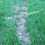ball-field-damage ball-field-damage