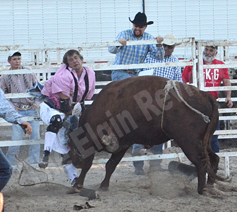 bull-a-rama-vetch-days-elgin-review-20152568 Bullfighter JR Clouse took several hits from this worked up bull.