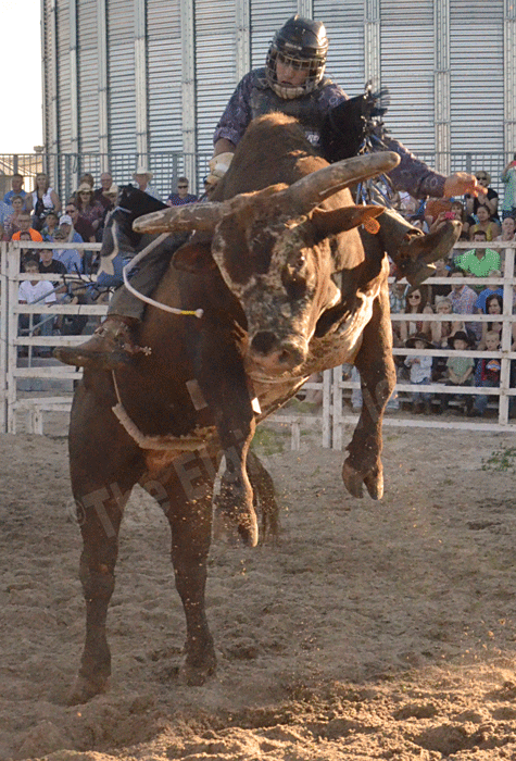 bull-a-rama-vetch-days-elgin-review-201526031 Another view of Wickett's wild winning ride.