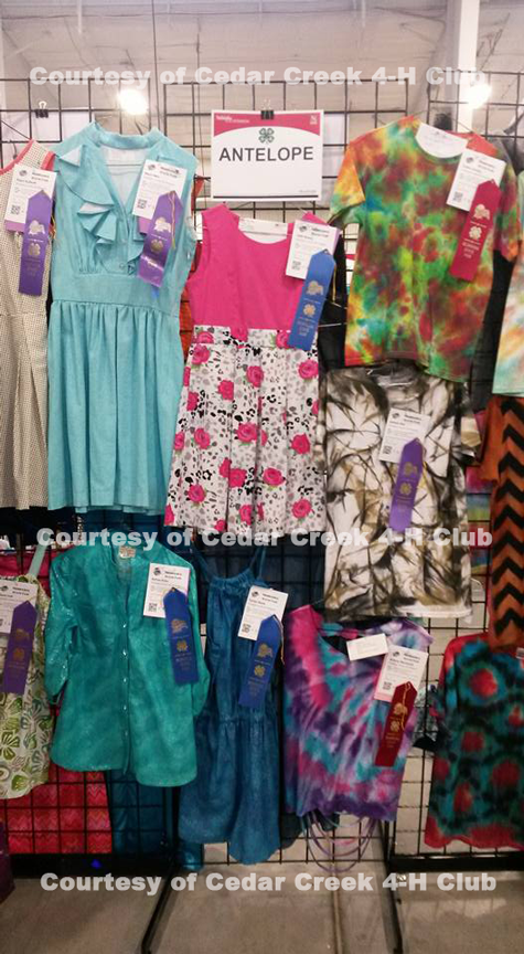 cedar-creek-at-state-fair A photo of some Antelope County sewing projects at the State Fair.