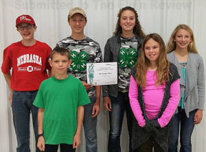 county-liners-outstanding-club County Liners named outstanding club.